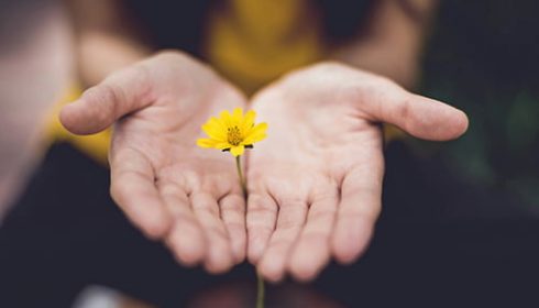 Photo by Iina Trochez on Unsplash the power of vulnerability