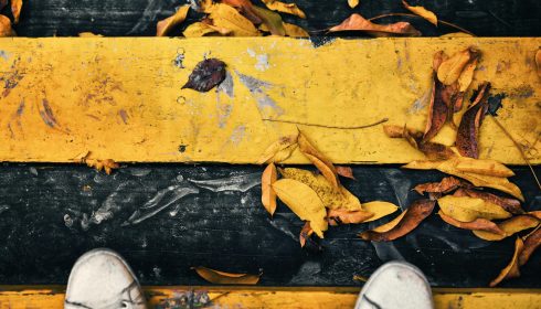 pexels-haugenzhays-1615420 pexels-haugenzhays-1615420